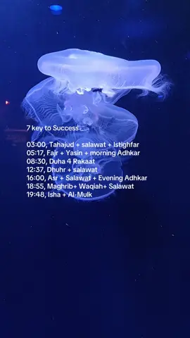 #abcxyz #fyp 
