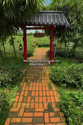 #CapCut 