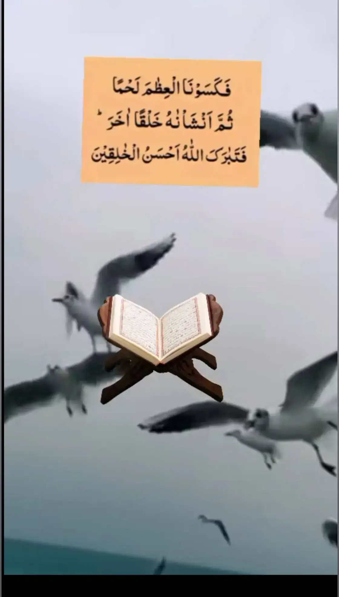 #GreenScreenScan #foryou #viral #HomeCafe #akram58109 #TikTokisLove #CtheChange #EidKiKhushiyan #AikArielBees #viralvideo #standwithkashmir #muhammadikram_090 #ماشاءاللّٰه_سبحان_اللّٰه_💖 #🌹  #🤲 