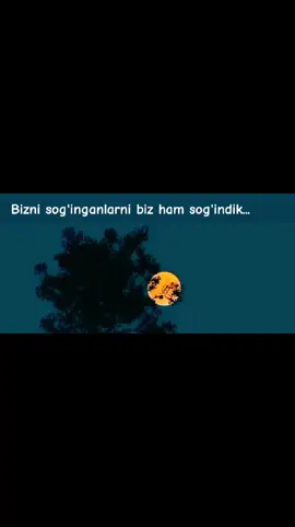 Bizni... #rek #qalbdagigaplar #qalbdag1gaplar #sogindim #soginch #ВэтотДень 