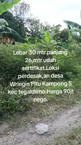Di jual tanah buat hunian Lebar 30 mtr.panjang 26 mtr.Loksi perdesak,an Wringin Pitu Kampong 5 tegaldlimo.minat WA 082234234772.