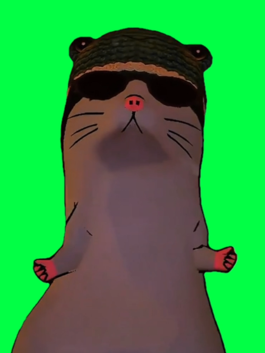 @rodolfoorato’s dancing rat is back and absolutely tearing it up to “Duro 2 Horas.” Pure rodent energy meets meme perfection. This green screen template is perfect for brainrot edits, cursed loops, or anytime you need an unexpected party animal to crash your feed. #DancingRat #capcutmeme  #Duro2Horas #greenscreentemplate #brainrotmeme 