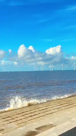 cuối tuần mí bạn đã đi bỉn chưa (biển cồn nhàn, Ba Tri_Bến Tre.) gần nhà tui nè 🥴✌️