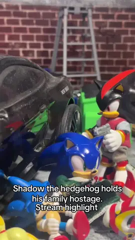 This stream is probably one of my favorites I’ve done.#toys #actionfigures #sonicthehedgehog #shadowthehedgehog #sonic #memes #dogman 