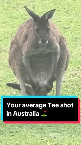 Golf spectators in Aus just dont respect the game. 