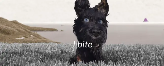 Wes Anderson the man you are. Sorry about the quality #isleofdogs #ibite   #wesanderson #isleofdogsedit #viralvideo 