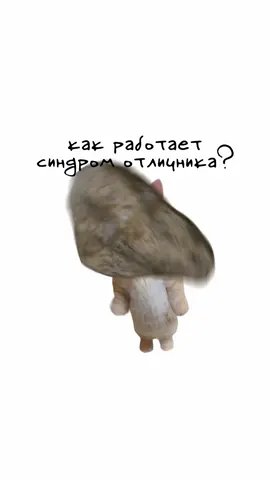 Как работает синдром отличника? Кисы объясняют 😻