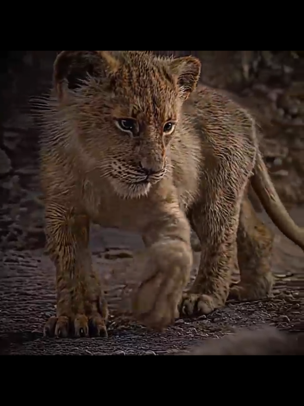 #fyp #mufasa #thelionking #simba #fyppppppppppppppppppppppp 