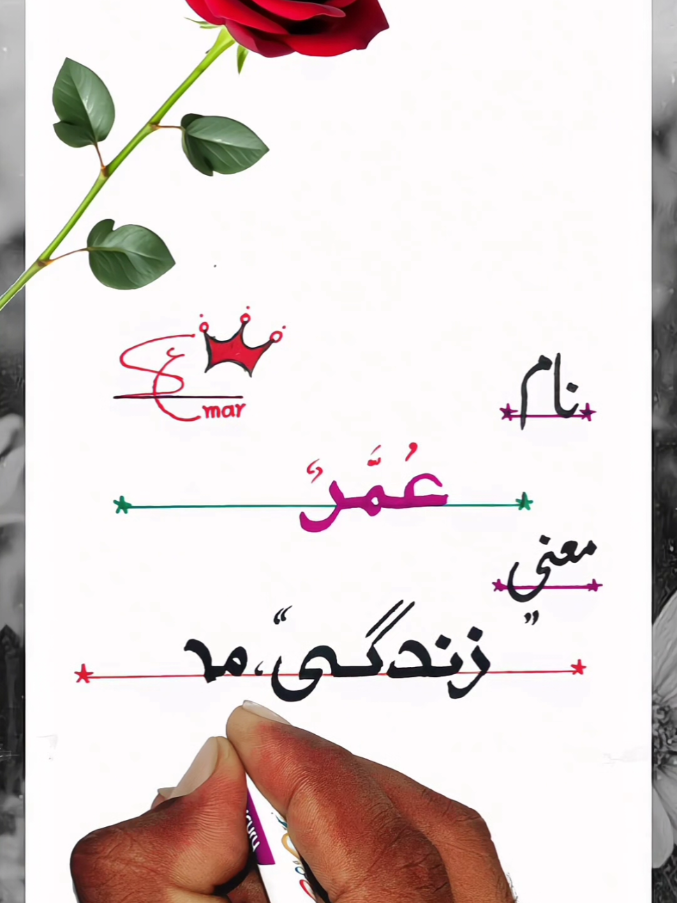 UMAR name meaning 🤗💞🤗#fypp #creatorsearchinsight #foryou #comment your name and you just wait for our response in video 