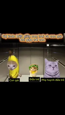 sự khác biệt giữa con trai và con gái khi gặp trẻ con #trending #xuhuong #memes #catmeme #cat 