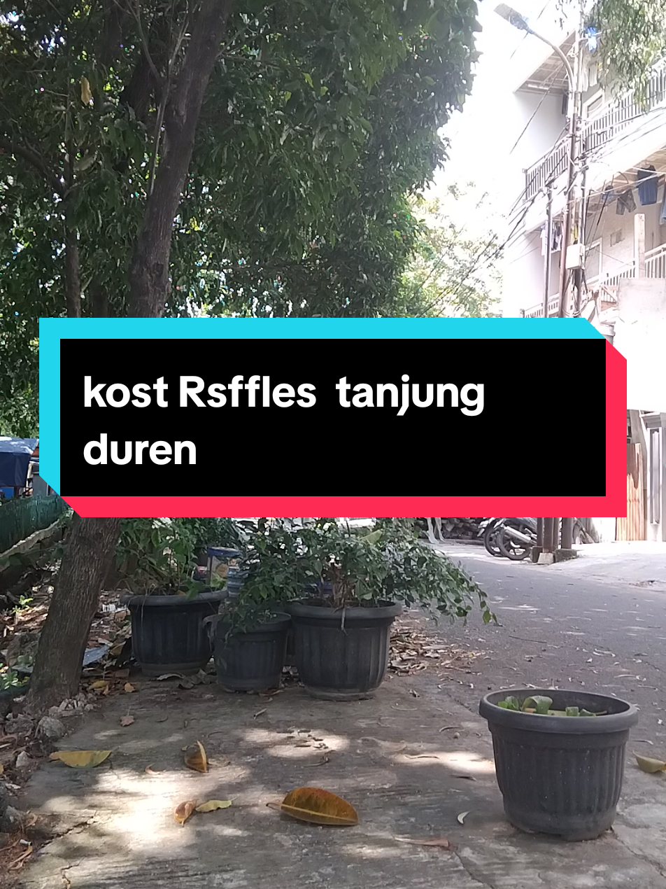 Kost Raffles kost yg paling nyaman, tidak berisik,akses 24 jam,dan yg paling penting,ibu kostnya sangat baik,itu yg bikin kita nyaman #kostjakbar #kostjakarta  #jakarta 
