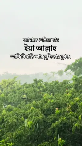 আমাকে গুছিয়ে দাও ইয়া আল্লাহ🥺#foryou #viral #views #foryoupage #unfreezemyacount #rain 
