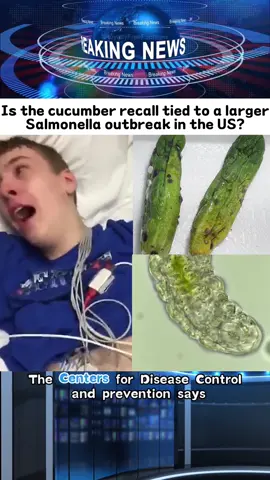 Is the cucumber recall tied to a larger Salmonella outbreak in the US?#fyp #usaus #usa #foryou #news #tiktok 