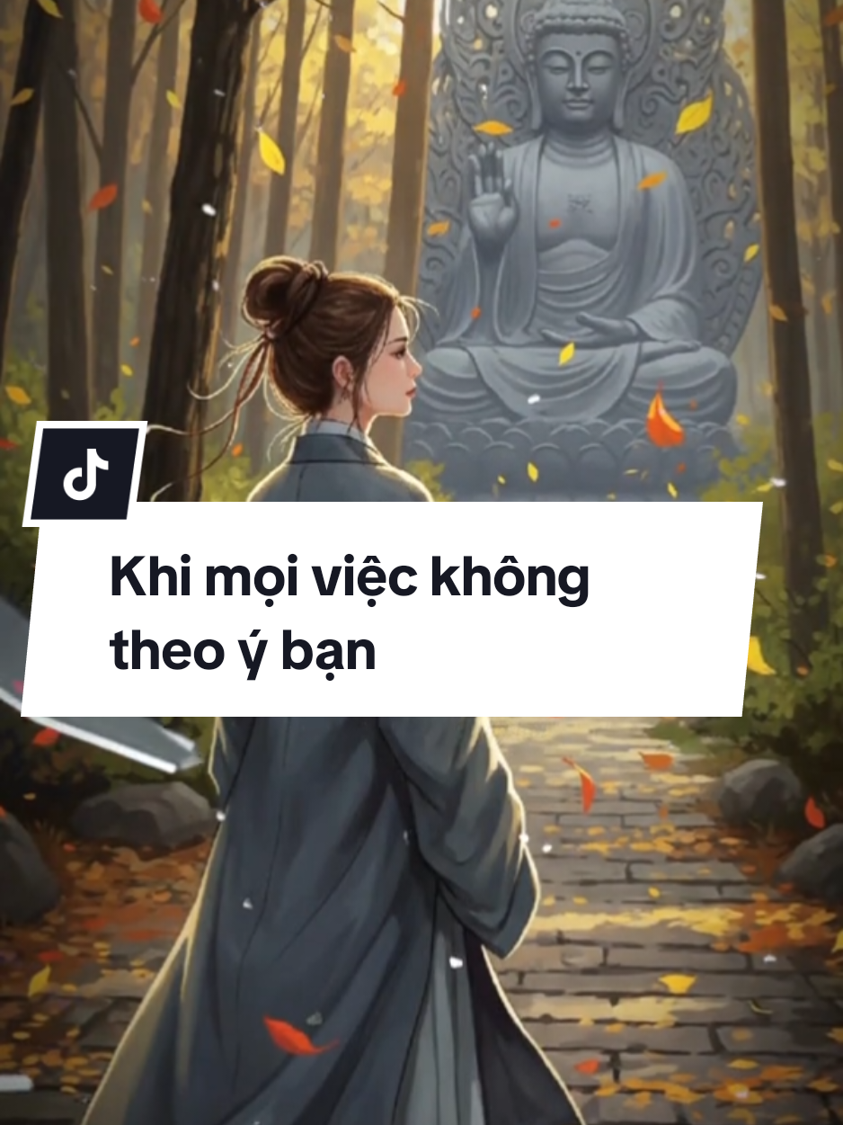 Khi mọi việc không theo ý bạn #tamtinhtaman #nhacphat #PhatPhap  #xuhuong  #adidaphat #thichcamauniphat 