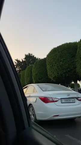 الجالسون بجانب نافذة السيارة يشاهدون كل شي إلا الطريق..🤍✨#تاجوراء_طرابلس_ليبيا🇱🇾 