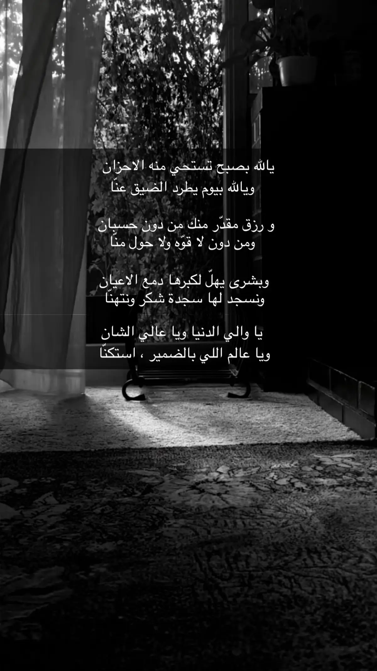 #اكسبلور #edit #foryou #اكسبلورexplore #خواطر #قصايد_شعر #قصيدة_شعر_أبيات #قصايد #ابيات #قصيد #fypシ #fyp #شعر 