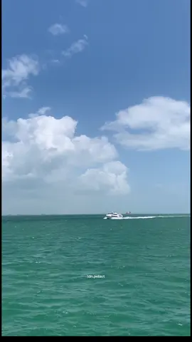 Mv.Batam jet 3 . . . . . #viral #pelautindonesia #batamjet #batamjet3 #vypdonggggg 