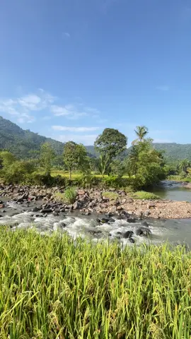 Ciparasi - sobang #fyp #lagusunda #pupuhan #ciparasi #lebakmasakini #sobang #lebak #pemandangan 