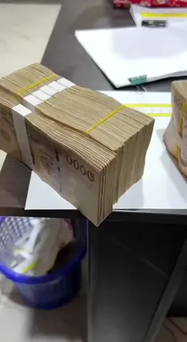 没有富二代的命，就努力拼富一代的命##挣钱##东南亚