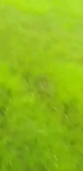 👏👏👏👏👏