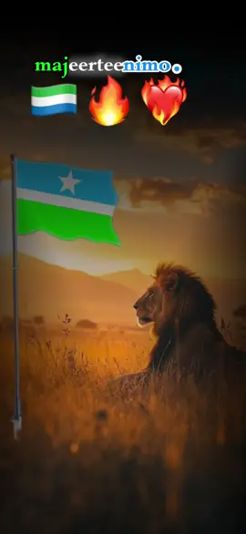 majeerteenkas ilahy badiyay yaa ka thy 🦁🇸🇱❤️❤️‍🔥💋