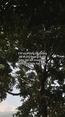 …#tamtrang #story 