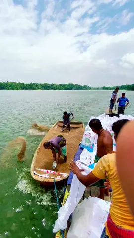 #🐟🐟🦈🦈 #vairal_video_tiktok #fowllowers❥♥️♥️♥️ #vedioviral #hashtags 