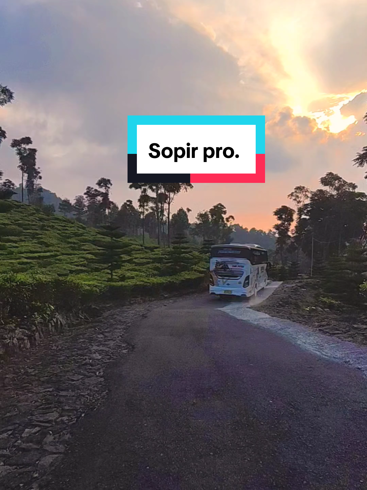 Sopir pro #agrowisatajamus #kebuntehjamus #wisataalam #wisatangawi #fyp 