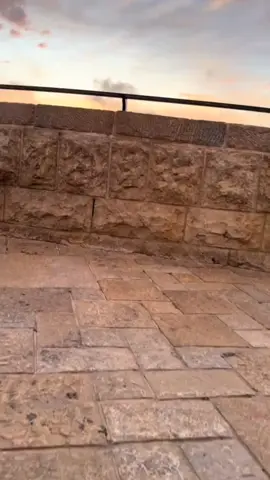 #بدون موسيقى #جمال فلسطين  #غزة 🇵🇸