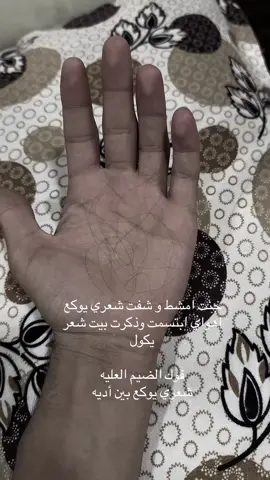 #كركوك_محافظه 