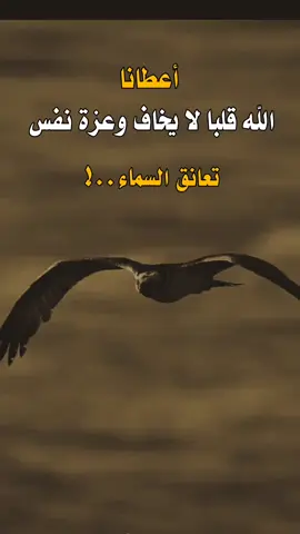 #عبارات #اكسبلورexplore #اكسبلور #agstyle #asmr 