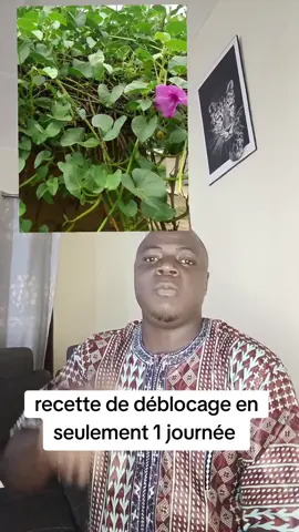 recette de déblocage en seulement 1 journée  #VoiceEffects  #popular 