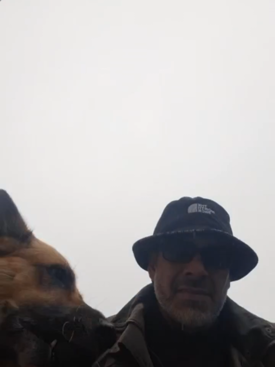 My #German #Shepherd Thinks She's a Puppy FOREVER my crazy crazy German Shepherd refuses to grow up. #GermanShepherd #ForeverPuppy #DogLife #GermanShepherdVibes #PuppyEnergy #CrazyDog #PetTok #FunnyDogs #DogLovers