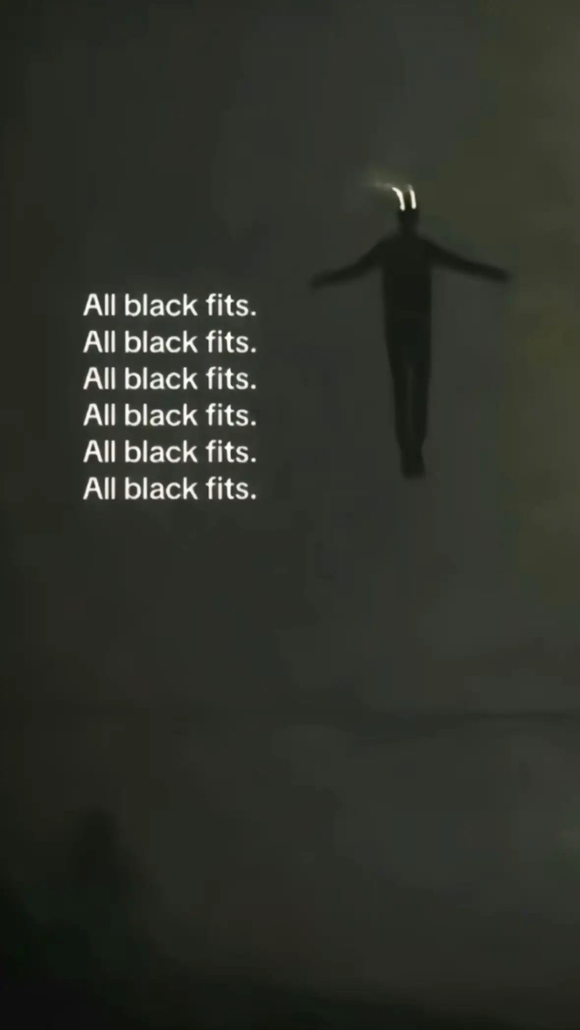 #fyp #goviral #viral #allblack #ski #arcteryx #fashion #targetaudience 