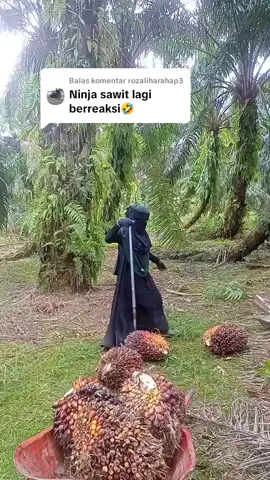Membalas @rozaliharahap3 😭😭