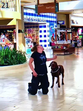 When the owner fell to the ground due to epilepsy, the dog's reaction was touching: It doesn't understand the disease, it just knows that it can't lose you