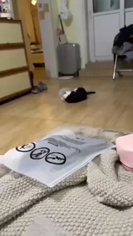 #funnyanimals #cuteanimals #pets #fyp 