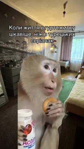 Одним словом - весело #kafedrapz #студентство #гуртожиток #вступ2025 #Meme #MemeCut 