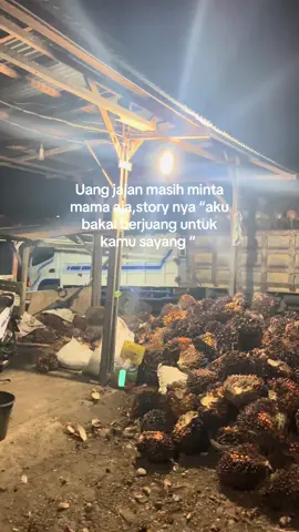😂😂#fyp #xyzbca #foryou #viral #bismillahfyp #kulisawit #masukberandafyp #tukangmuatsawit 