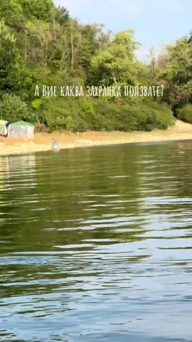 #fishinglife #catfishing #bigfish #златникилчета #сом 
