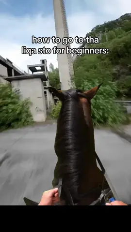 hell yeah horse liqa stor tutorial