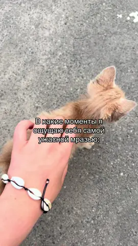 /ТГК Чорна🃏//inst-pawwqles