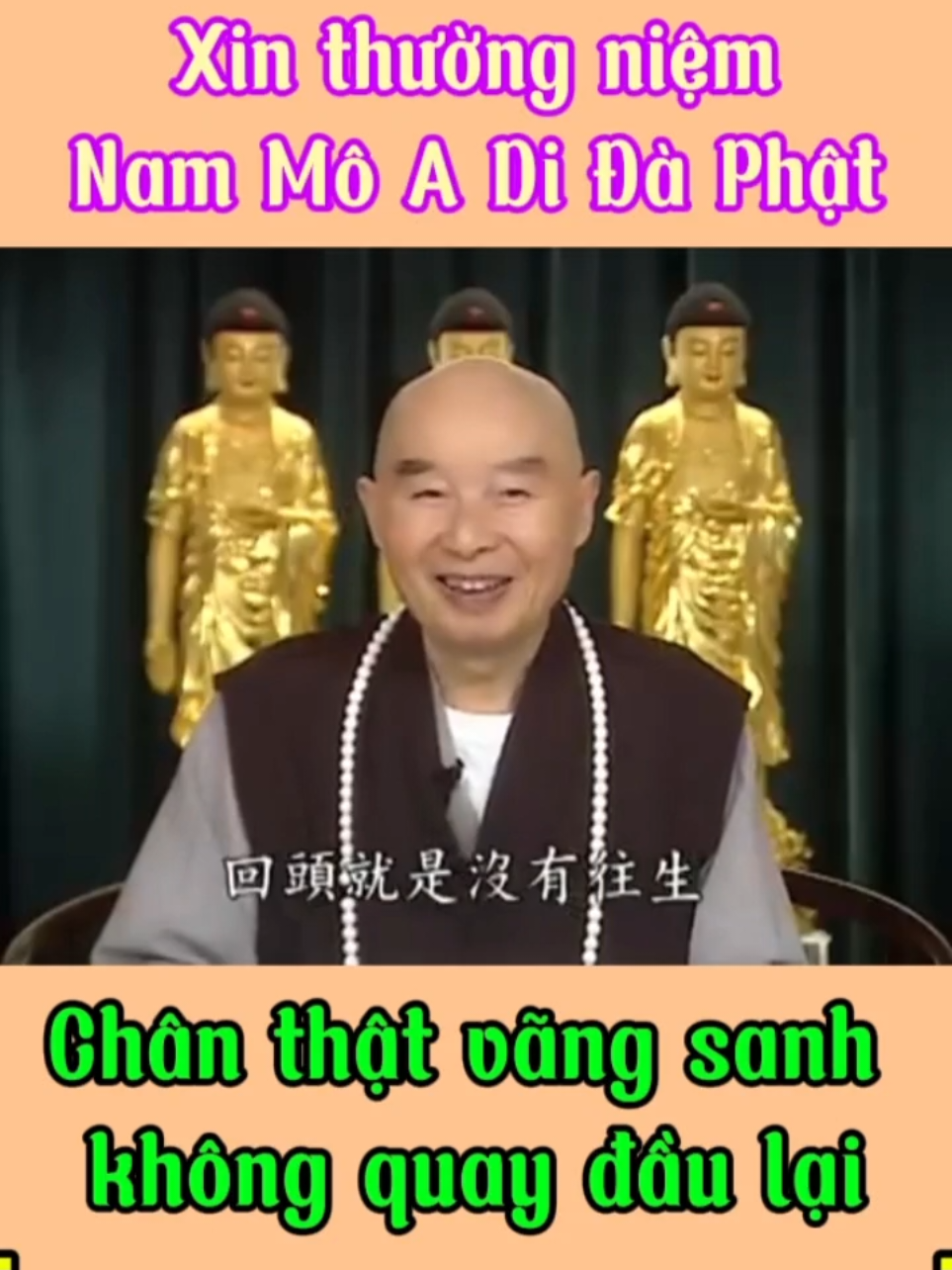 Chân thật vãng sanh sẽ không quay đầu lại Hòa Thượng Tịnh Không  🪷🪷🪷