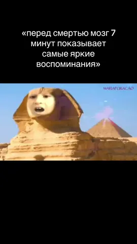 фараон моя римская імперія#муплечка #fyppppppppppppppppppppppp #вайб #рек #рекомендации #мем #меми#тренд #цвінчік #ватафакамазафакатвоюмака #муплечка 