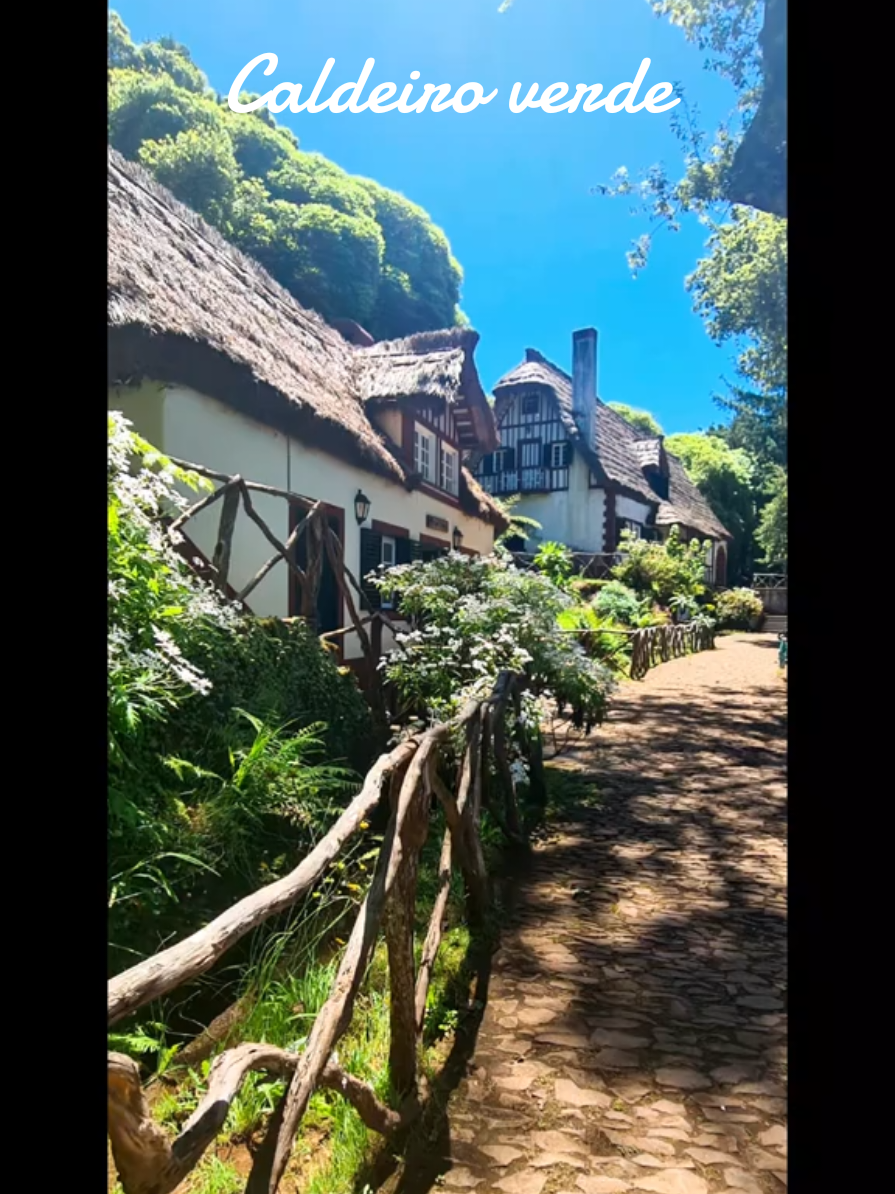 #madeiraisland #caldeiroverde #nature #madeira #rando 