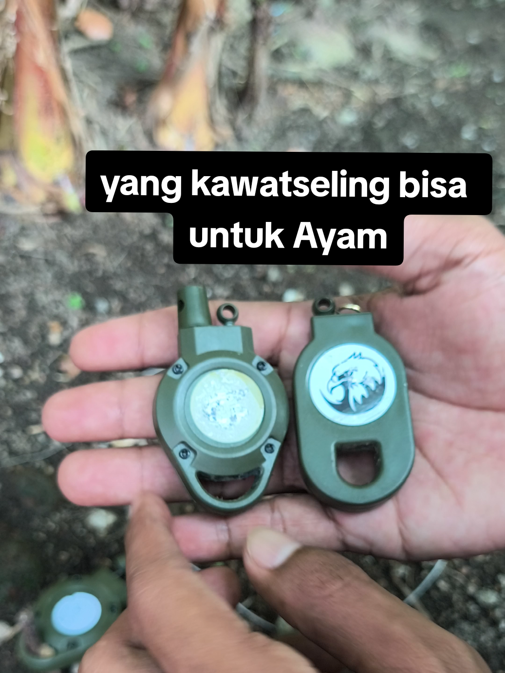 Membalas @antoichal perangkap burung otomatis untuk 🐓, Ambil yang kawatseling bosku #ayamhutan #jeratburung #bolang 
