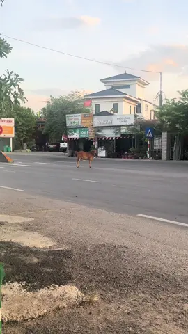 Ô Mai Gớt!!!!!!!
