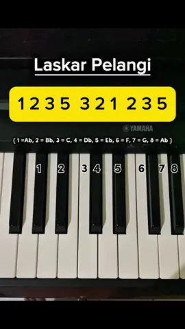 Laskar pelangi - Nidji #pianotutorial #laskarpelangi #nidji #fyp #foryou #foryoupage 