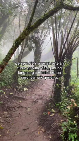 Kapan yaa #pendakifomo #pendakigunung #pendakiindonesia 
