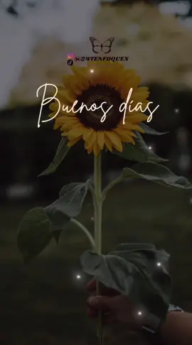 Buenos Dias Que Hoy.. Tus segundos se llenen de magia, tus minutos de risas, tus horas de paz y tu corazón se Ilene del amor infinito de Dios. Dios te bendiga#buendia☺️ #fypシ゚ #buenosdiasmundo #graciaadios #buendia 